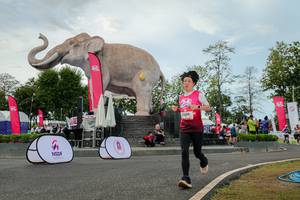 BIB: 
                            <button type="button" onclick="openModal(26528784)" class="btn btn-primary btn-sm float-right btn-popup" data-toggle="modal" data-target=".modal-high-quality">
                        <i class="fas fa-shopping-cart"></i> Add to Cart
                    </button>
                                            <button type="button" onclick="isThisMe(26528784, true)" class="btn btn-success btn-sm float-right btn-popup btn-isme hidden" data-toggle="tooltip" data-placement="bottom" title="นี่คือรูปของคุณใช่ไหม คลิกที่นี่เพื่อเอาเข้าอัลบั้ม">
                        <i class="fas fa-plus"></i> Add to album
                    </button>
                    <button type="button" onclick="isThisMe(26528784, false)" class="btn btn-warning btn-sm float-right btn-popup btn-isnotme hidden">
                        <i class="fas fa-ban"></i> Remove from album
                    </button>